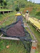 Nano Challa – Washed Arabica – Limu (Jimma) – Ethiopia