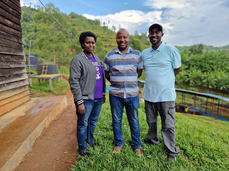 Nano Challa – Washed Arabica – Limu (Jimma) – Ethiopia