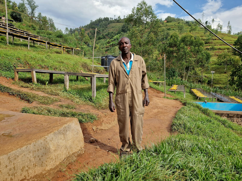 Nano Challa – Washed Arabica – Limu (Jimma) – Ethiopia