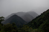 Las Nubes – Natural Arabica – Tolima – Colombia