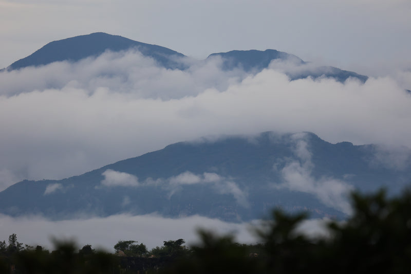 Las Nubes – Natural Arabica – Tolima – Colombia